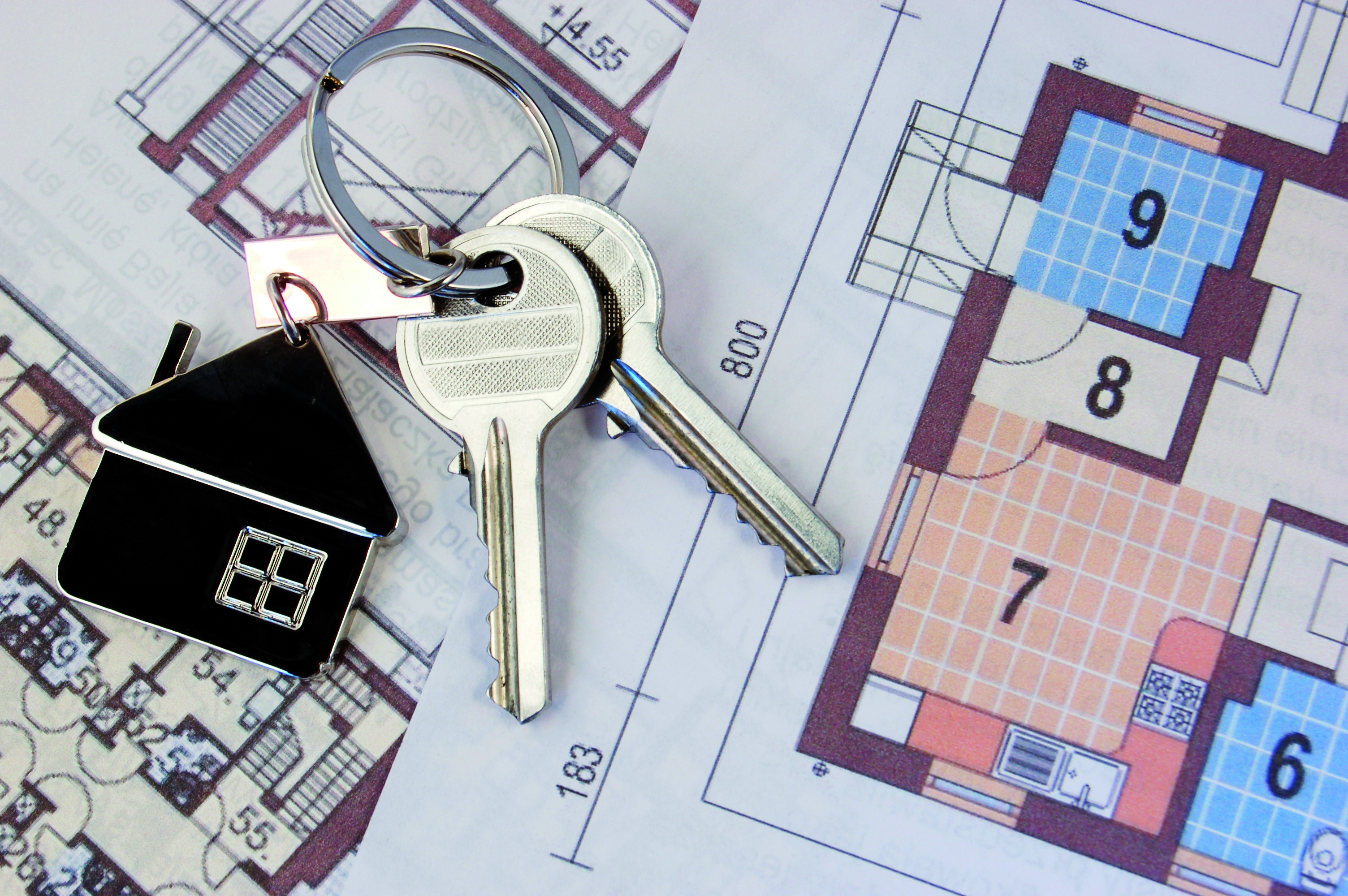 Bien acheter sur plan